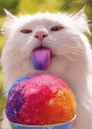 Kitty Ice cream XD