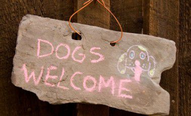 Psi dobrodošli