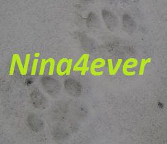 Nina4ever