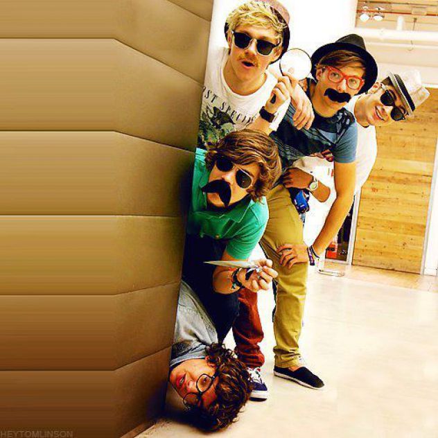 You want good detectives??? Call One direciton..