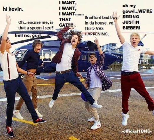 Lou: kevin, Liam: Spoon, Harry: cat, Zayn: Vas happeninig??, Nialler: Justin Bieber......hahaha