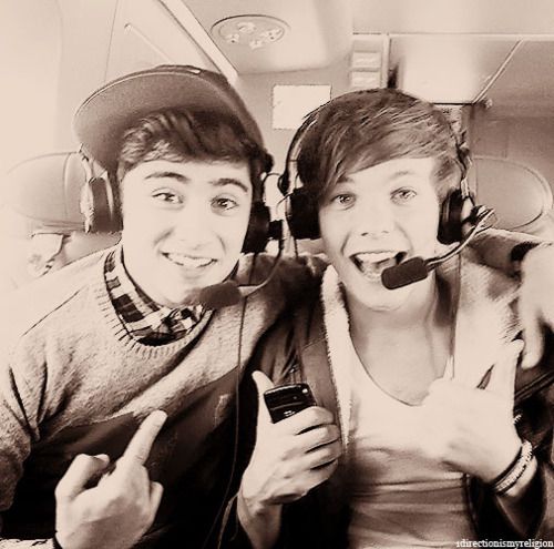 my 2 favourite boys in 1D <3