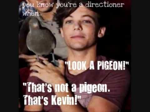 Kevin <33333