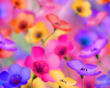 COLORED FLOWERS
