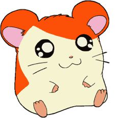 my hamster 2