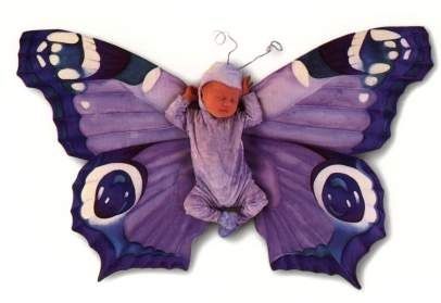 dojenček v metulju...