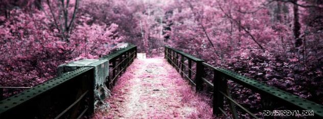 pink path