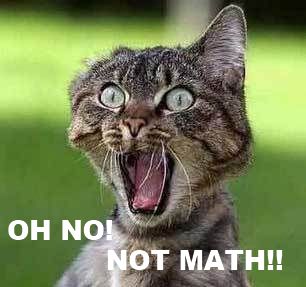 Prestrašena mačka ko sliši ''matematika''