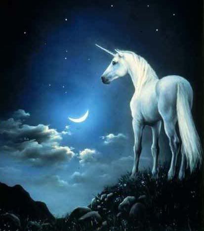 beautiful unicorn
