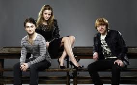 Harry,Ron in Hermiona