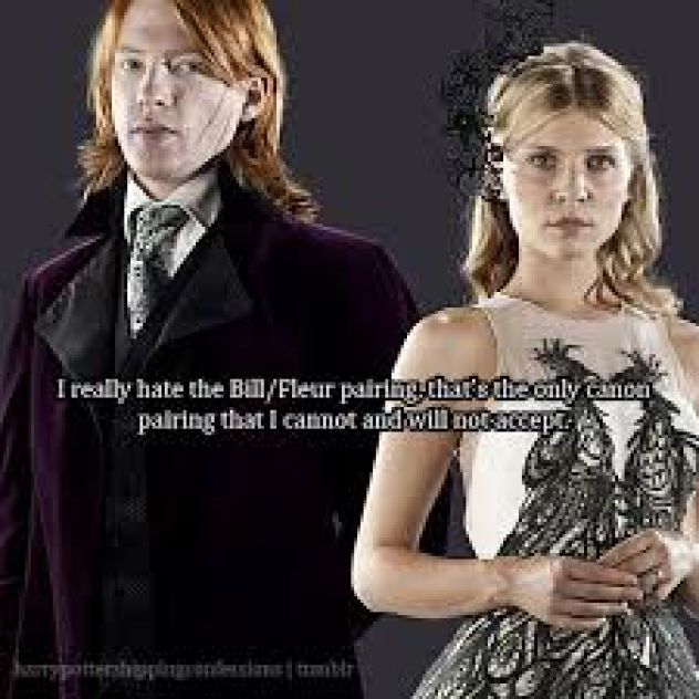 Bill Weasley in Fleur Delacour