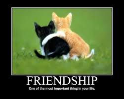 muci+friendship:)
