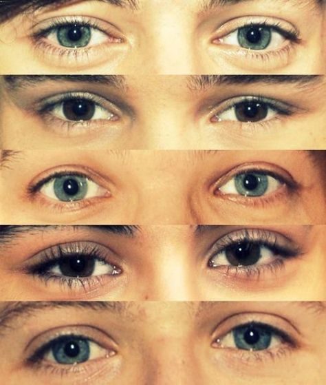 You know you're a true Directioner when you can tell who's who