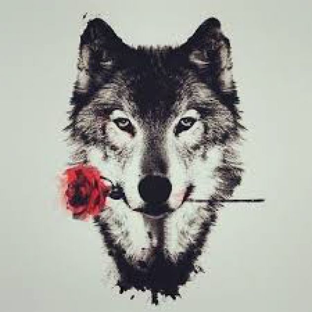 for all my wolf lovers out there <3
