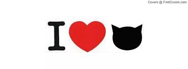 i love cats