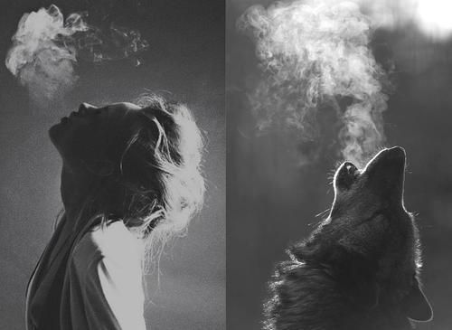 werewolf girl