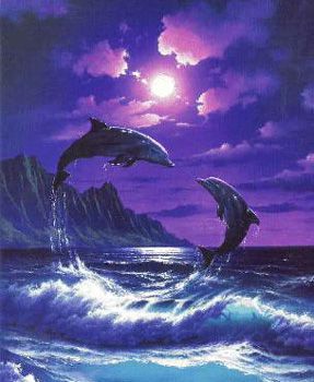 delfin ob sončnem zahodu