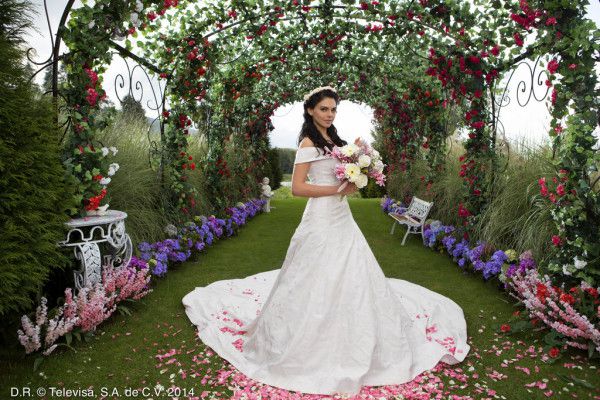 fiorella v poročni obleki