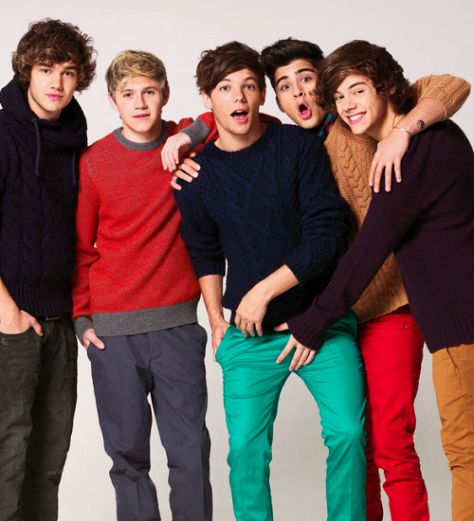You don't know what am i ? I'll tell you !Tomlinster, Paynette, Niallator, Zaynster, Stylator and Directioner