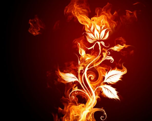 Zakaj plamen bo zagotovo prišel in požgal in osmodil in ogolil ves hrib. A v prvi mehki pomladni sapi se bo med pepelom spet  odprl plahi nežni cvet, uklanjal se bo vroči sili, a z vztrajno lepoto nazadnje plamen čisto ukrotil.
