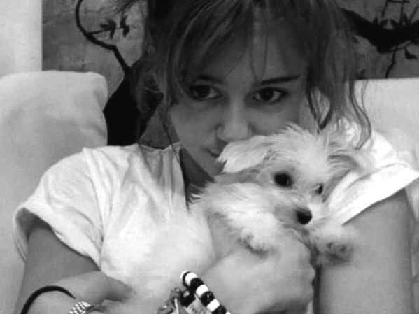 Miley with dog ♥♥♥♥♥♥♥♥