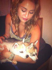 Miley & cute little puppys xD ♥♥♥♥♥♥♥♥♥♥