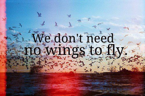 Wings.*