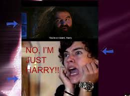 harry potter who's not a potter but he's styles and he's even not a wizard OMG!!!