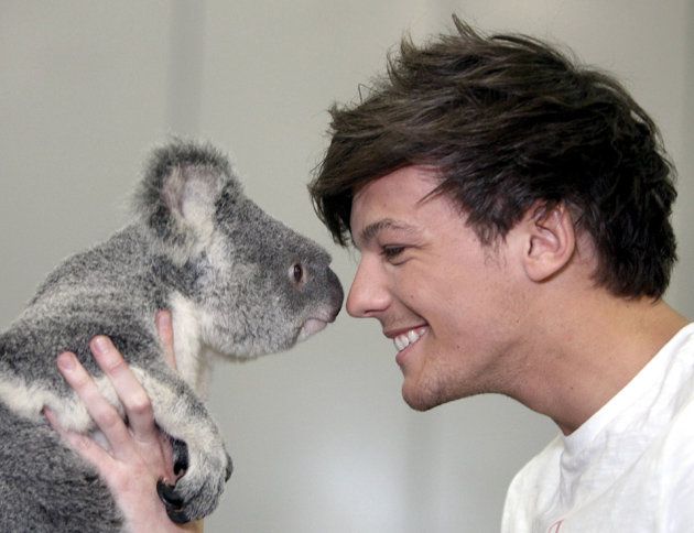Hočem.Bit.Ta.Koala.