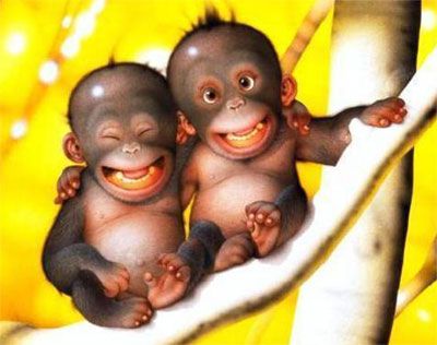 monkeys!!!!yey!!!!