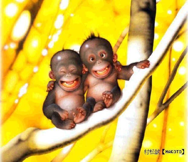funny and cute monkies