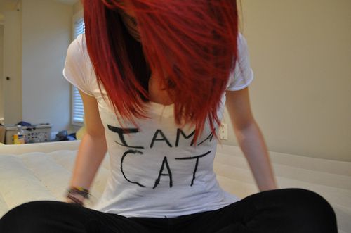 I am a cat... Mjaaw ;$