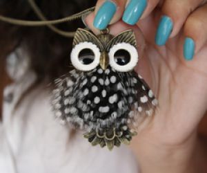 A little owl