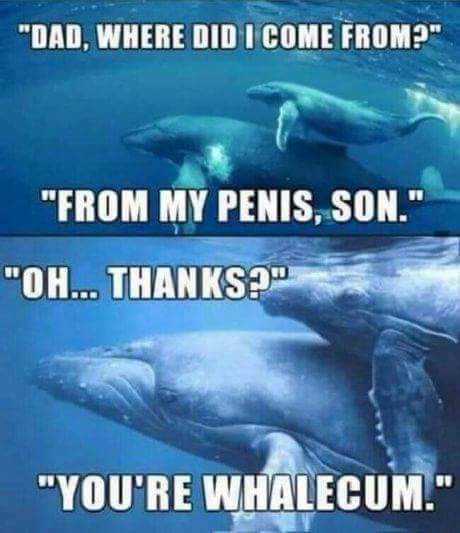 Whalecum