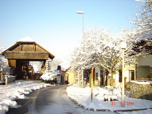 prvi letošnji sneg 2011-dvorišče