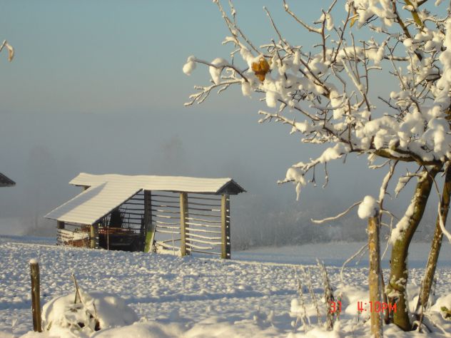 zima 2011 okolica hiše