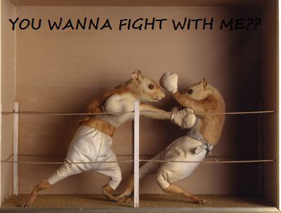 you wanna fight with me ?