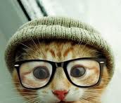 nerdy cat xd