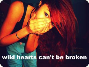 wild hearts can't be broken