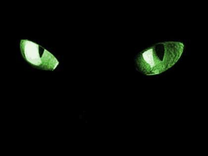 Cat eyes