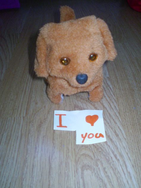 my dog love you