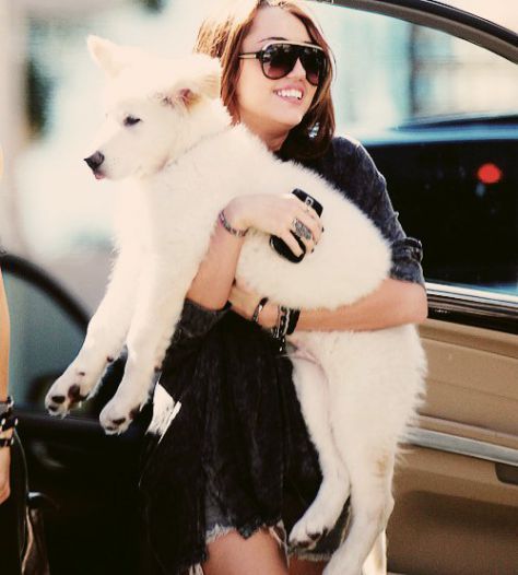 that awkward moment when i'm jealous of a dog ;( ♥
