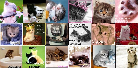 Collage Cute Cats