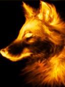 Fire wolf