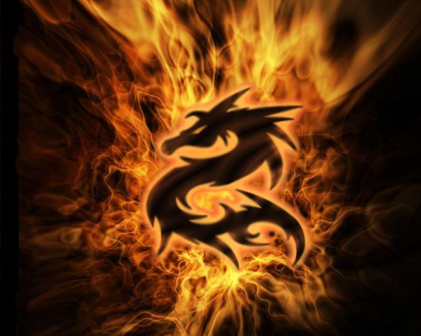 Black fire dragon