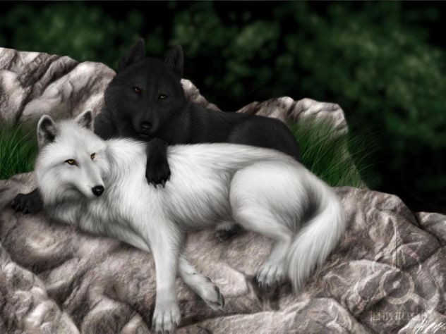 love of the wolfs