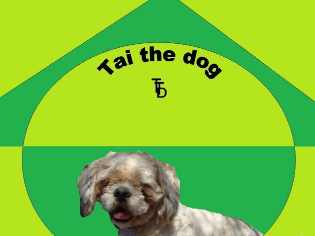 TAI THE DOG official photo