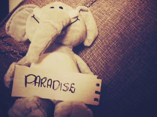 paradise <3