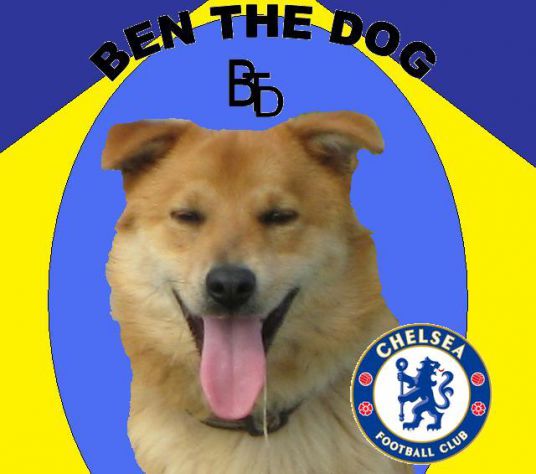 Ben the dog official Chelsea photo