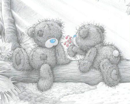 2 teddy bear